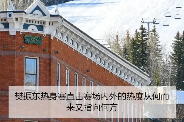 樊振东热身赛直击赛场内外的热度从何而来又指向何方